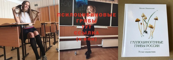 apvp Кулебаки