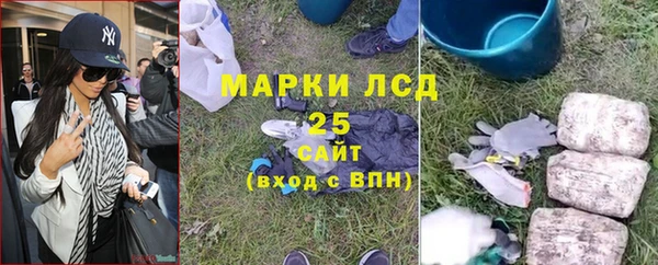 стаф Ладушкин