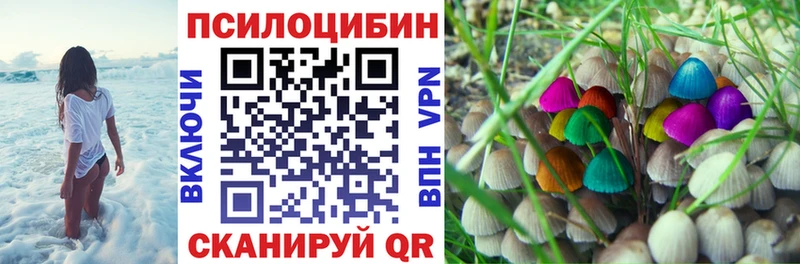 Псилоцибиновые грибы Magic Shrooms  Купить  Аткарск 